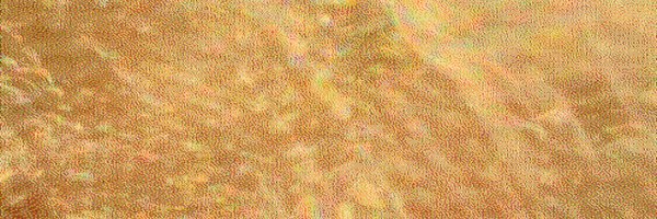 spencerc99 Profile Banner