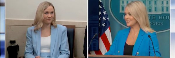 TheElizMitchell Profile Banner