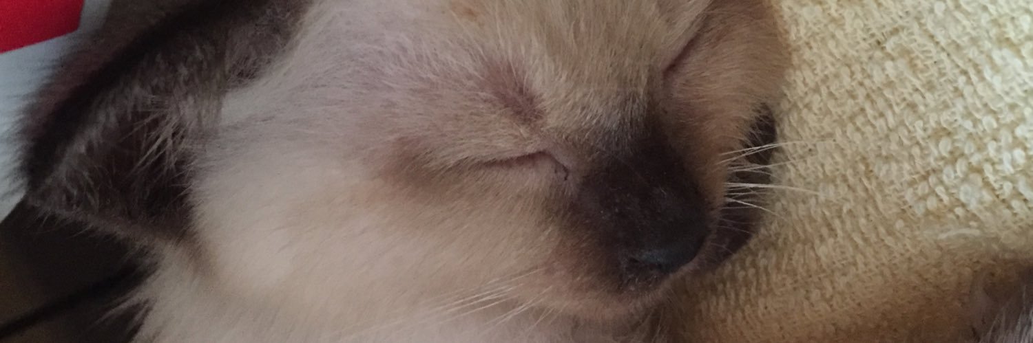 C6kO7's profile banner image