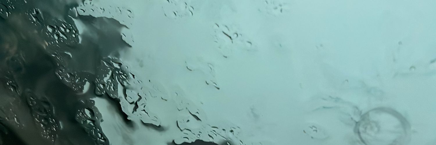 RaviLeanOnMe's profile banner image