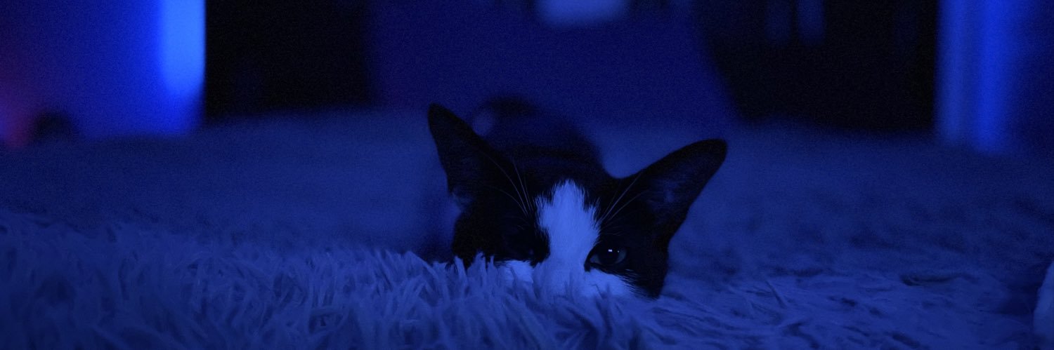 BDalber's profile banner image