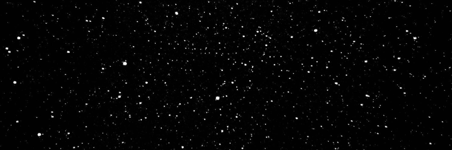 nuggetsaurio's profile banner image