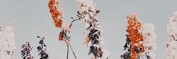 HelloMrsW_'s profile banner image