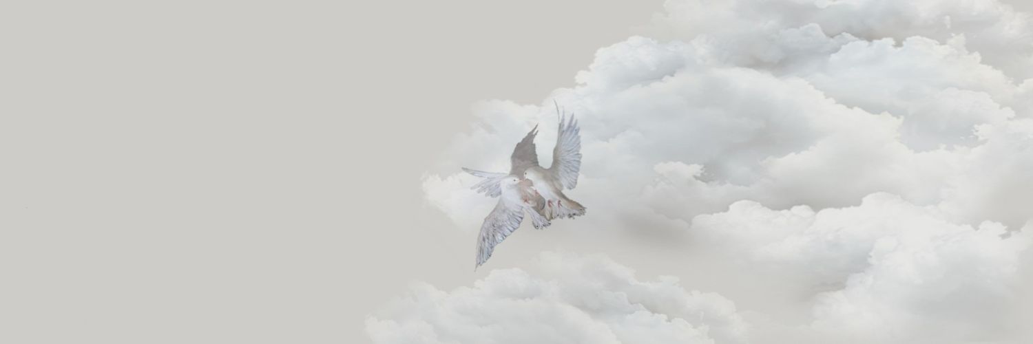 heartmailo's profile banner image