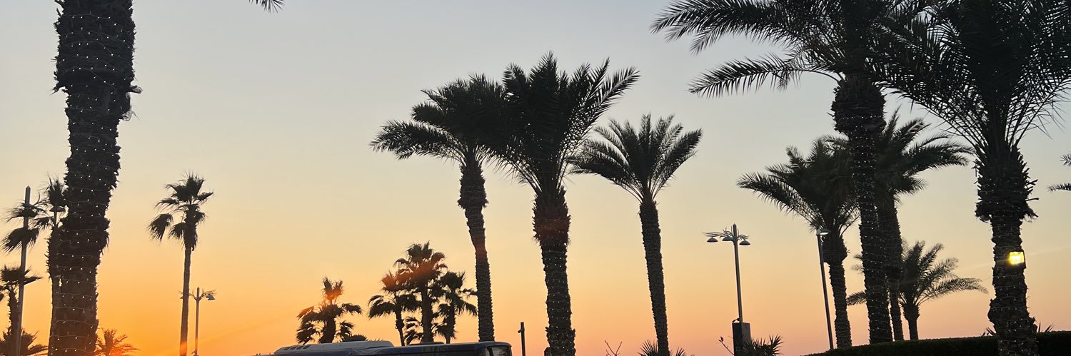 𝓓𝔂𝓵𝓪𝓷🥷 banner