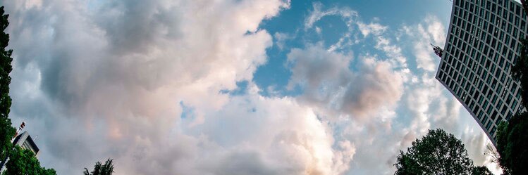 tomikae's profile banner image