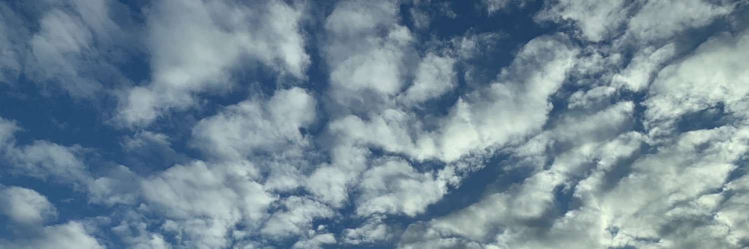 Rachel_Dillard_'s profile banner image
