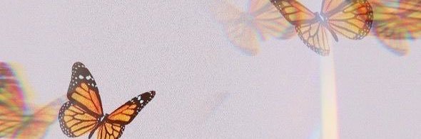 vortiz951's profile banner image