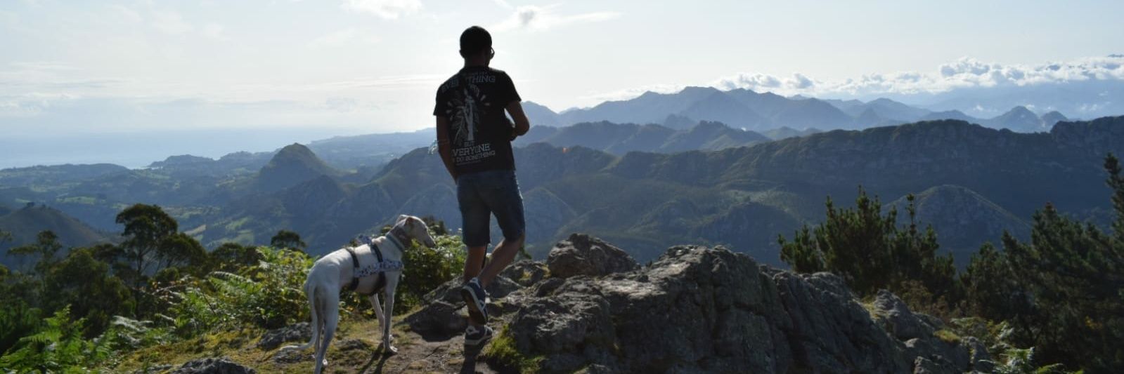 aferrell11's profile banner image