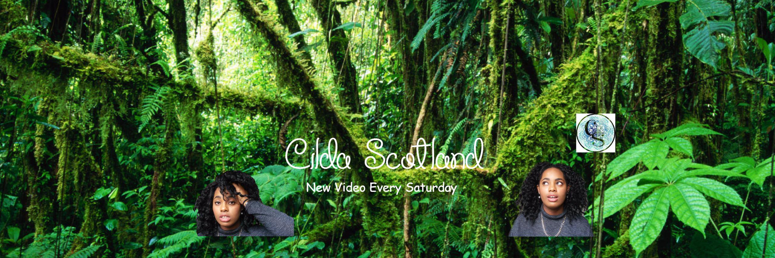 CildaScotland's profile banner image