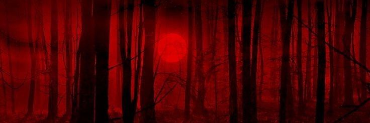 Bane0fTheMoon's profile banner image