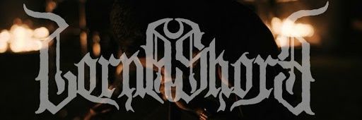 LCronas's profile banner image