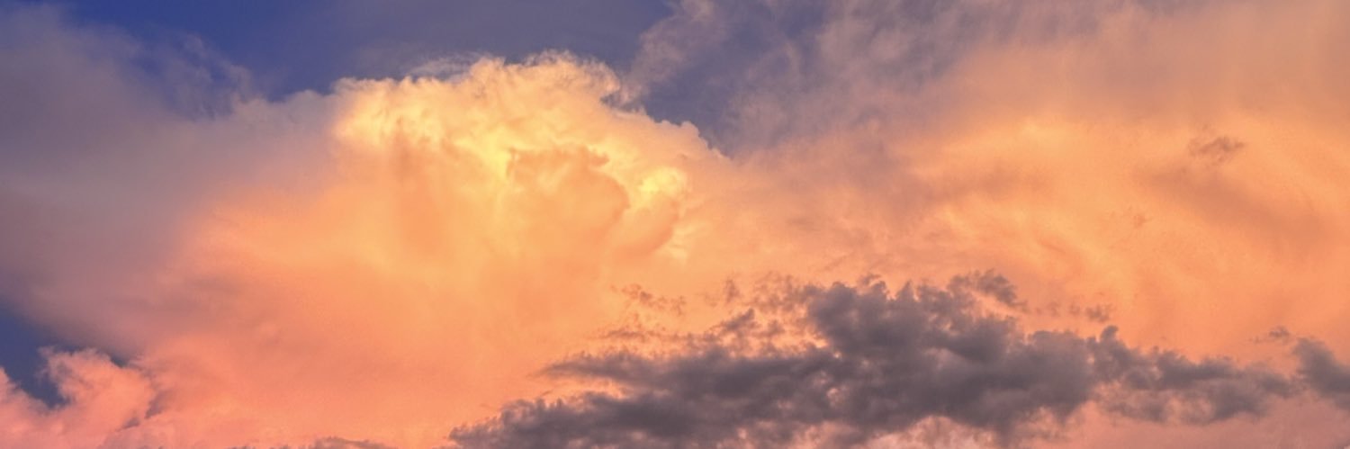 mayav3103's profile banner image