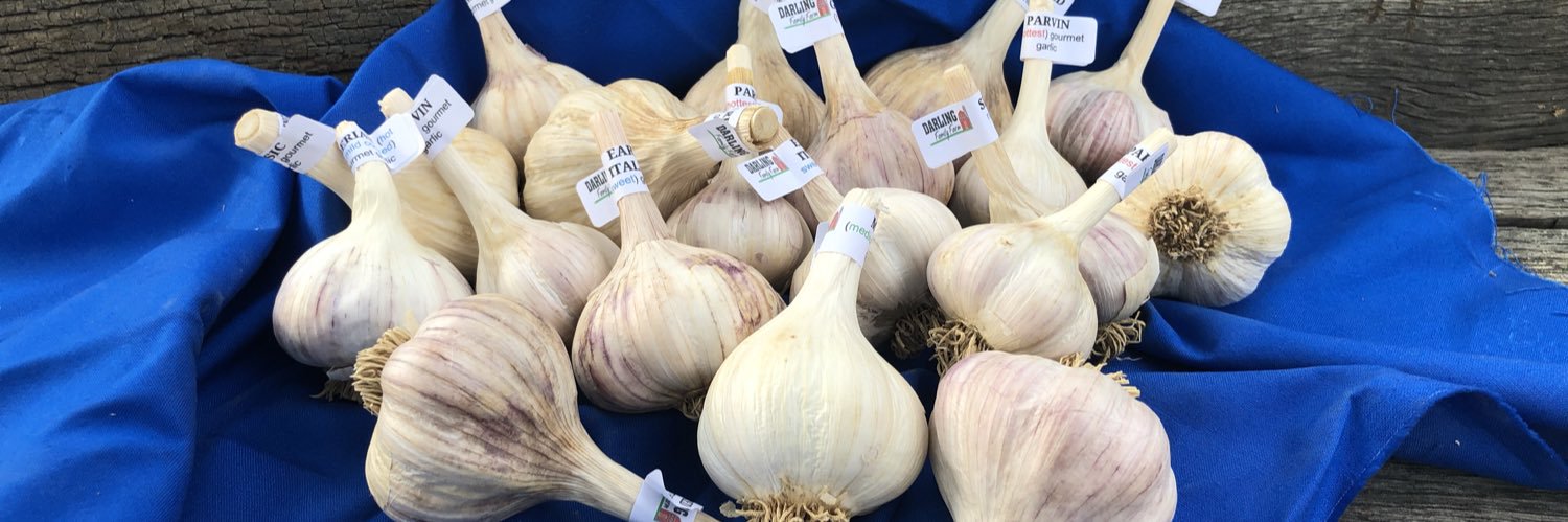 Darling Gourmet Garlic Family Farm banner
