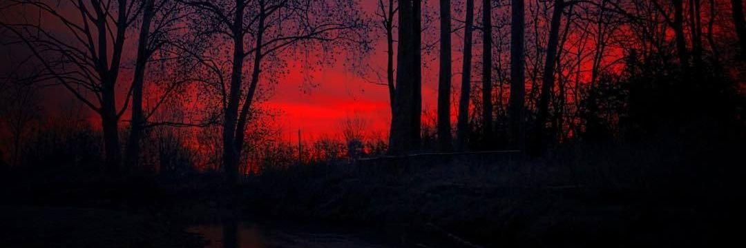Disenk1's profile banner image