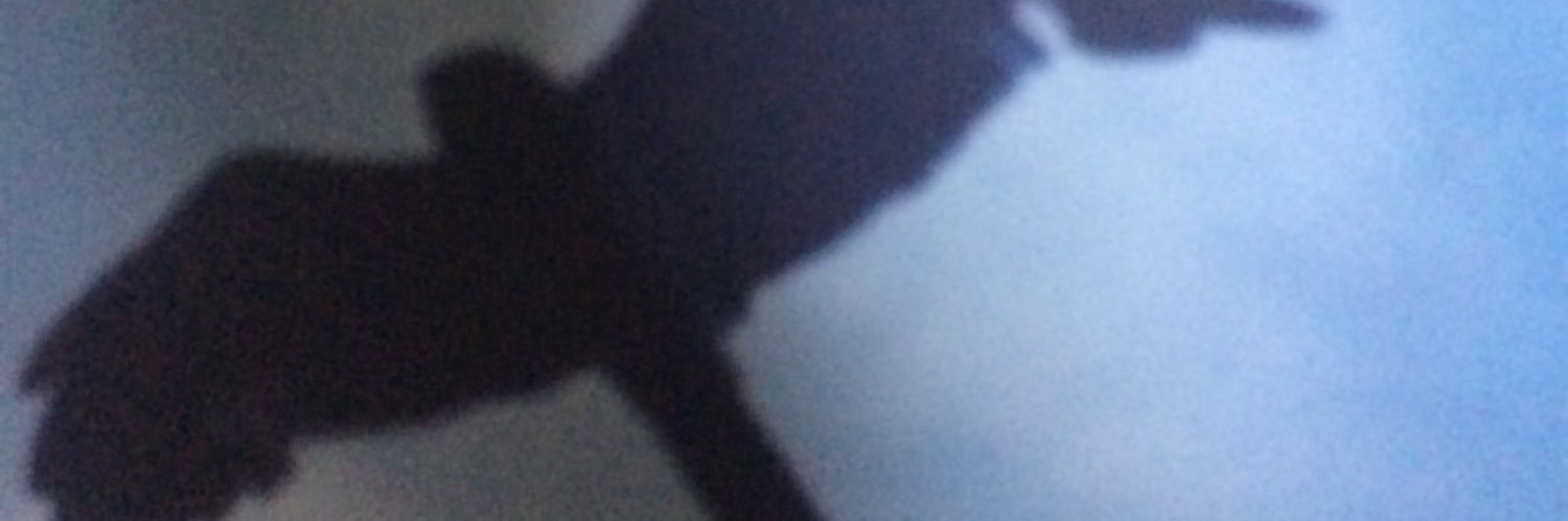 BemerWales's profile banner image