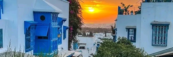 chaki∆🦊🇹🇳✨ banner