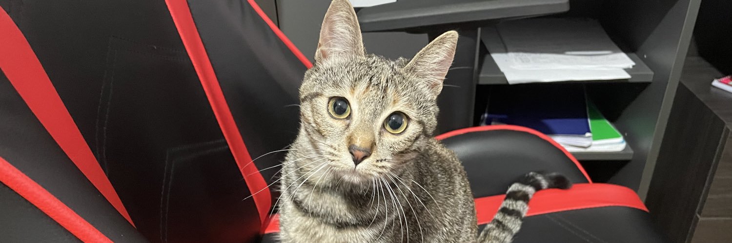 Roland Bathilde banner