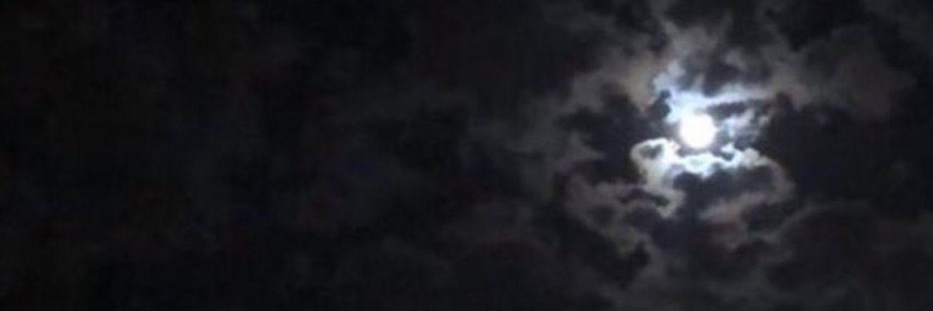 Alsubaie_53's profile banner image