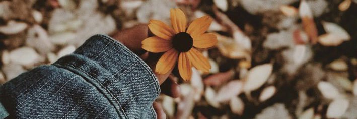sarinaa28's profile banner image
