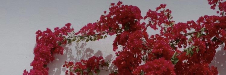 Batayaaa's profile banner image