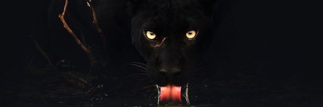 drewmilesjr's profile banner image