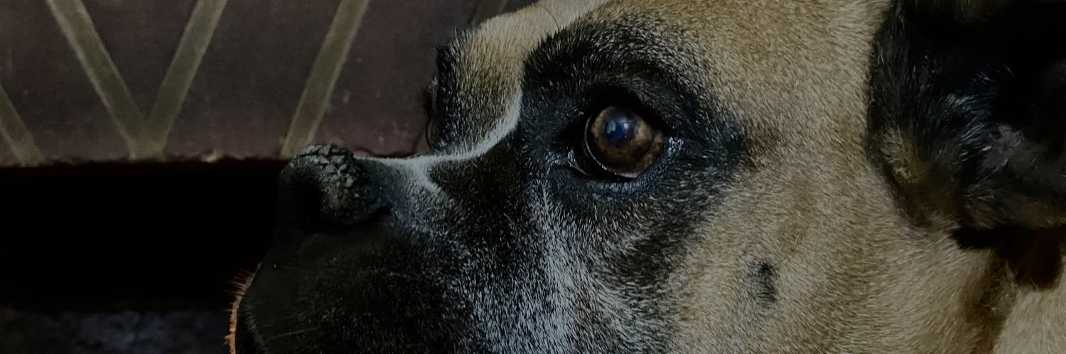 AzcolaLu's profile banner image