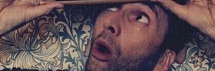 BlessedByDavidTennant banner