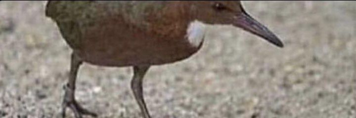 Pskills_'s profile banner image