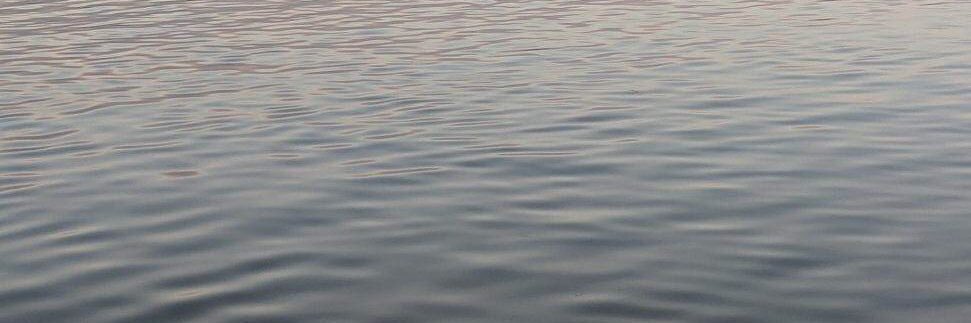 Taylor Friemel banner