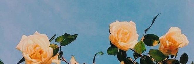 solstereosol's profile banner image