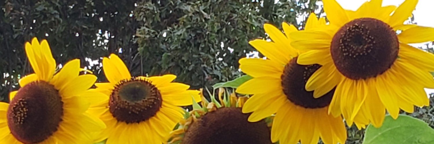 robbiestanhope's profile banner image