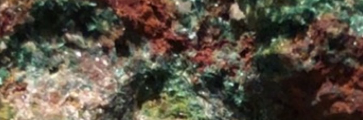 prm_21's profile banner image