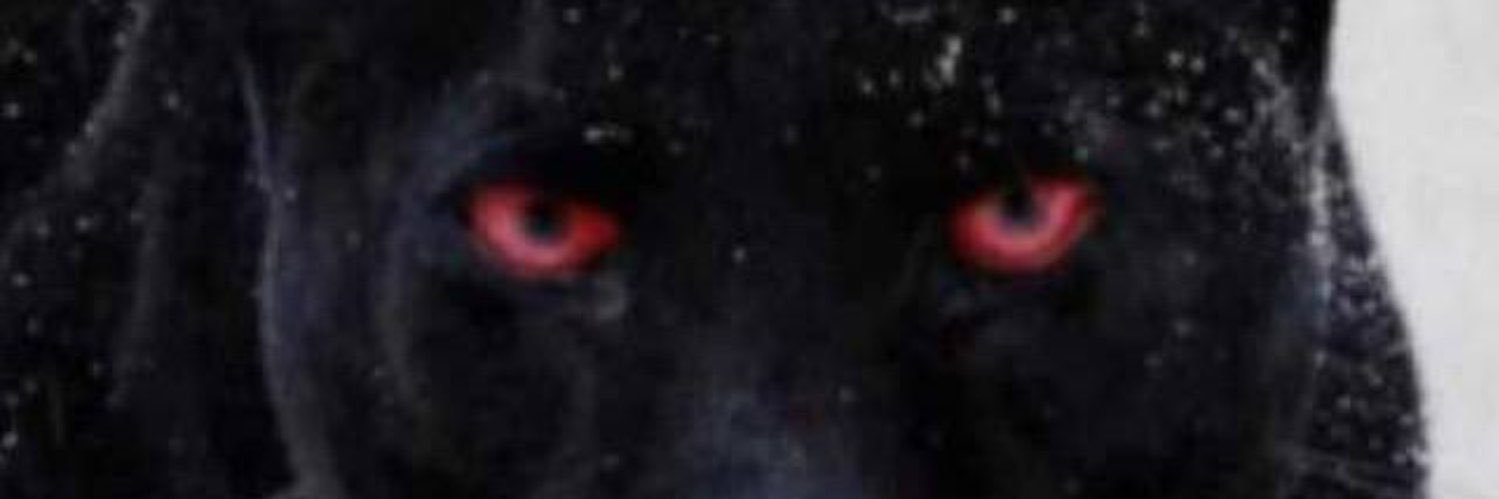 REALGLORYBOi's profile banner image