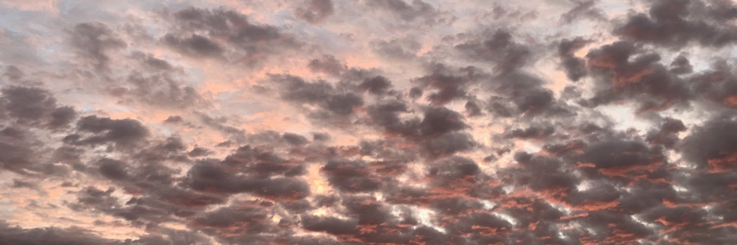 lillianflynn_'s profile banner image