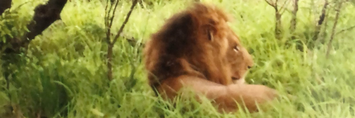 Indy to Dem-y 💙 banner