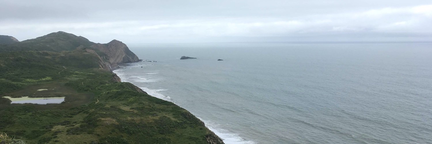 Emily C. Woods banner