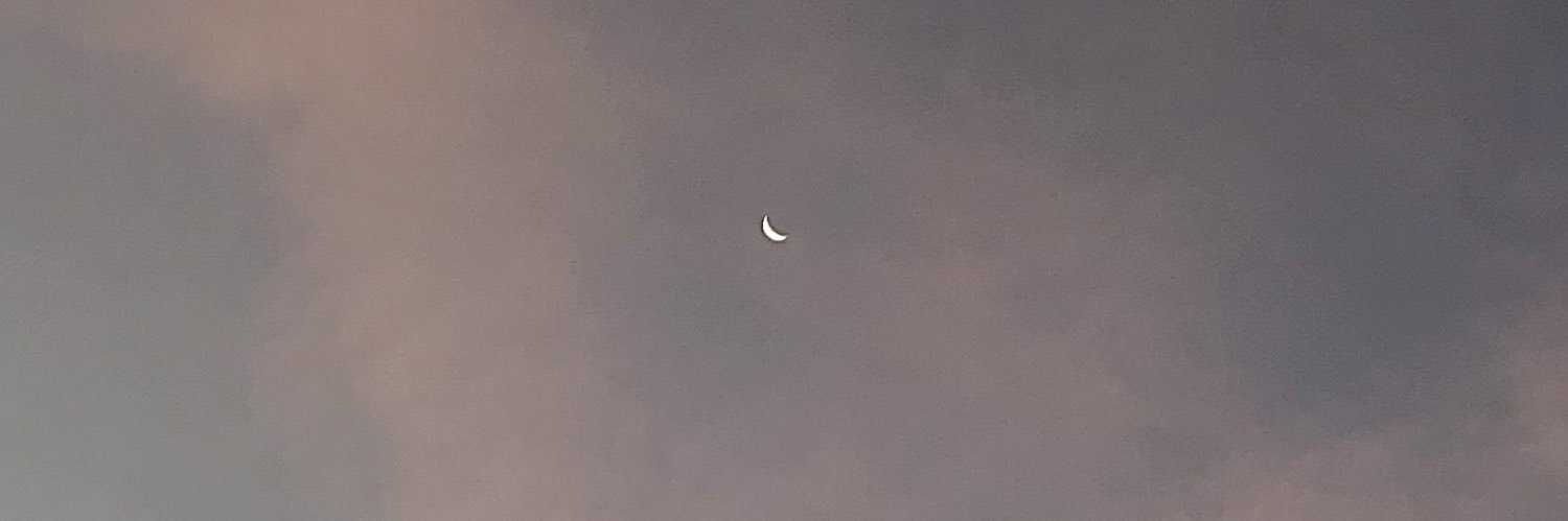 moonofmay_'s profile banner image