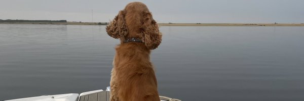 KellyDBeattie Profile Banner