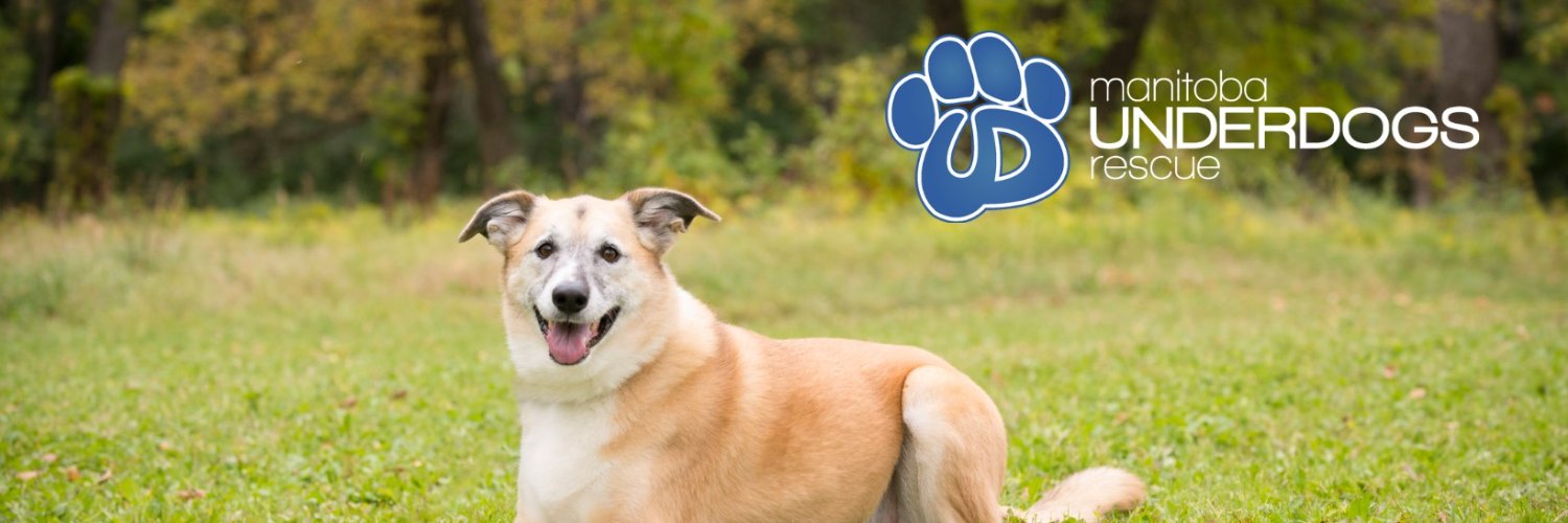 mbunderdogs's profile banner image