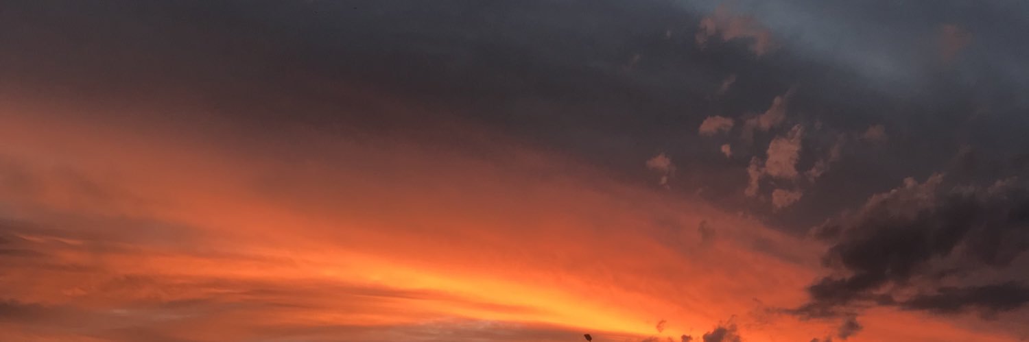 bblue______'s profile banner image