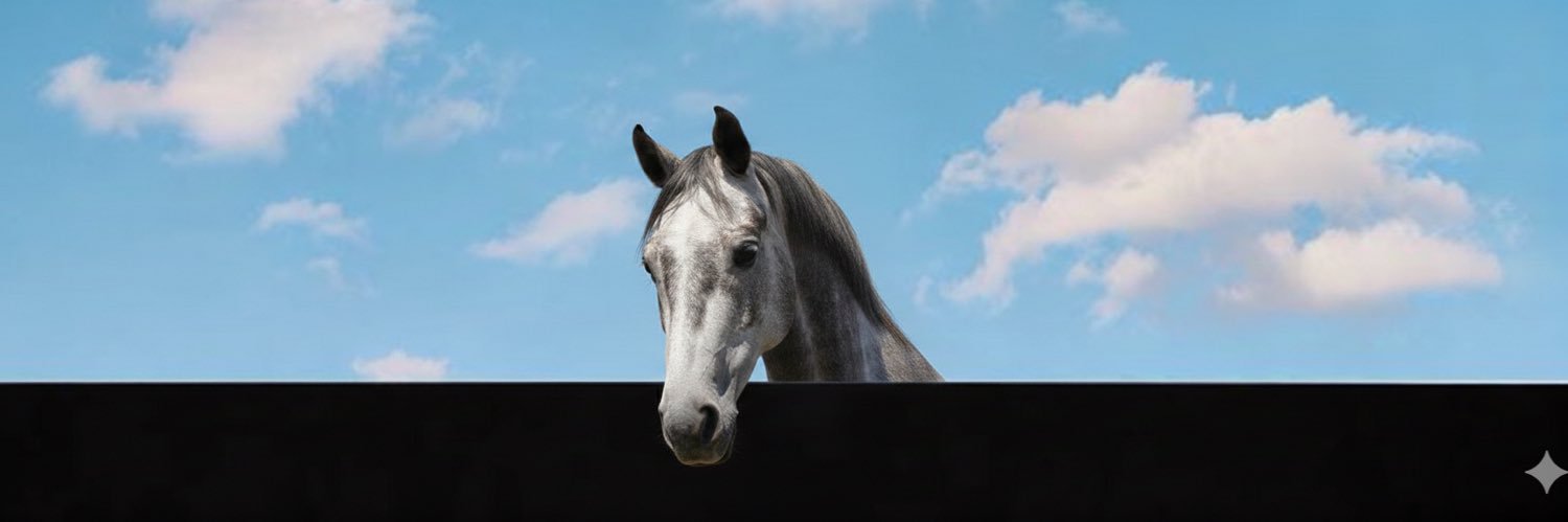 pomakmus's profile banner image