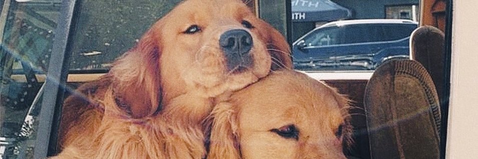 lucimzza14's profile banner image