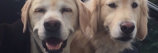 julietnstein's profile banner image