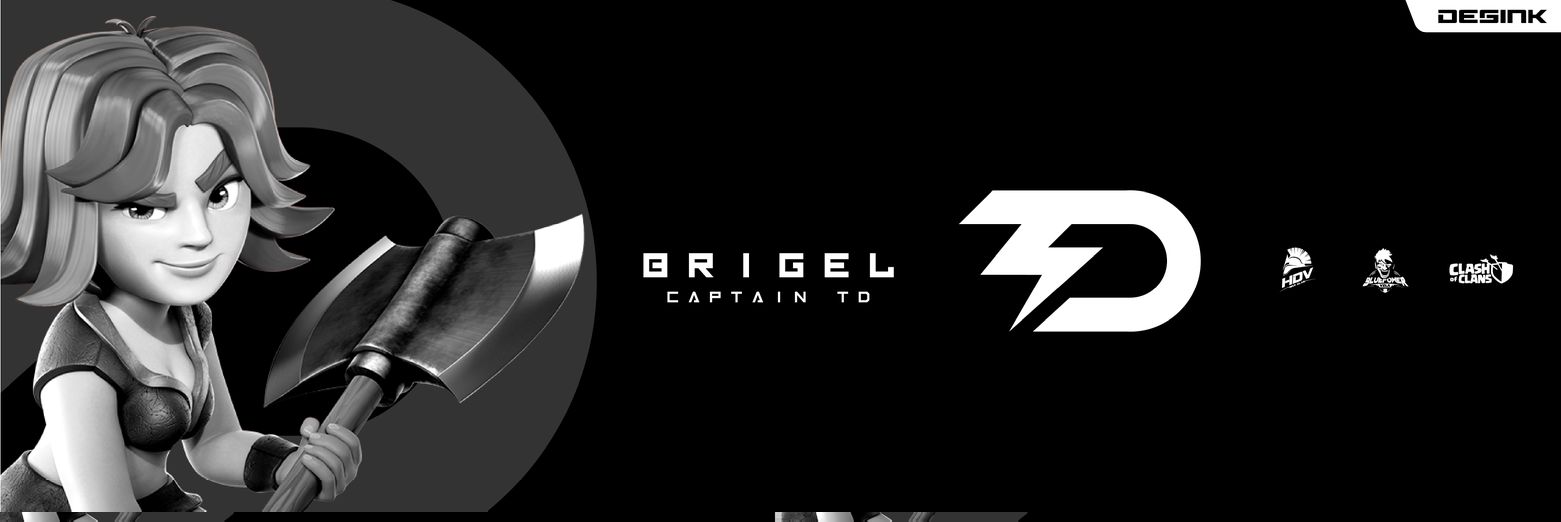 Brigel banner
