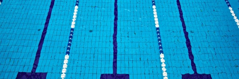 Land O Lakes Swim and Dive banner