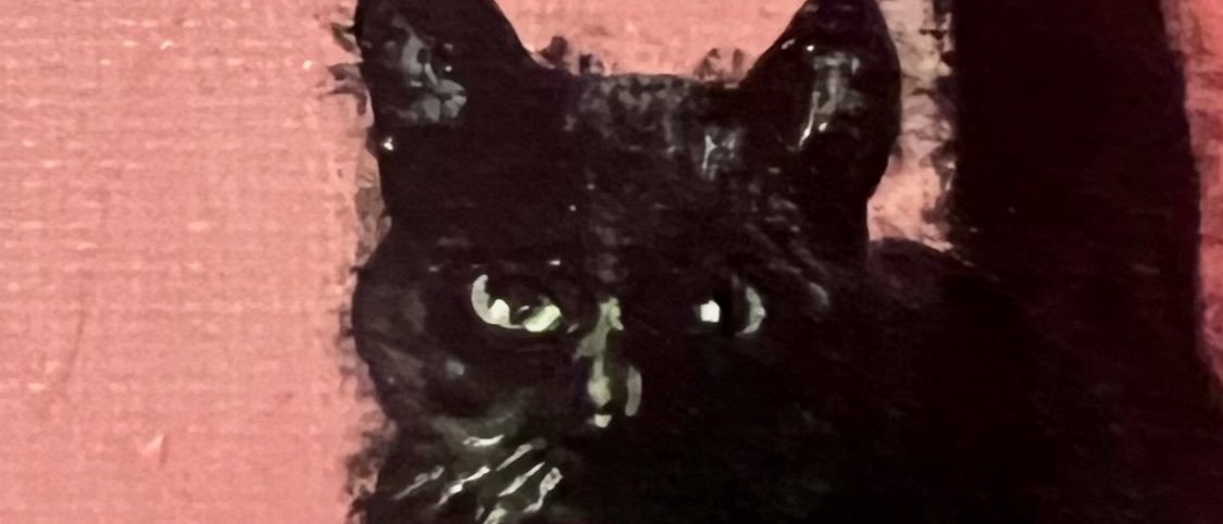 paradiggemz's profile banner image