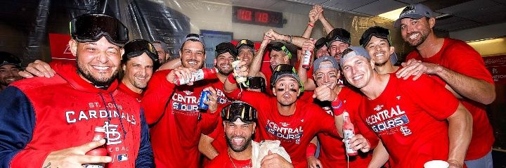 Lee Ann Newman banner