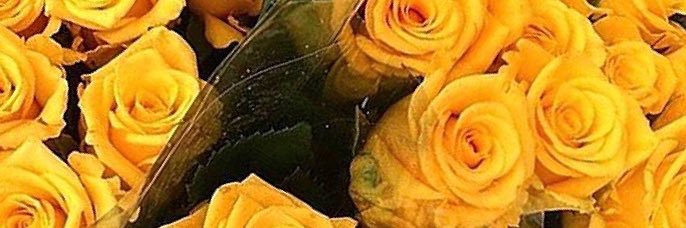 reneemonz_x's profile banner image