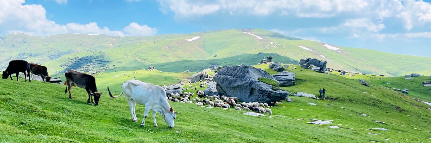 iamanthakur's profile banner image